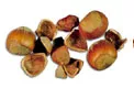 Nocciola Piemonte IGP